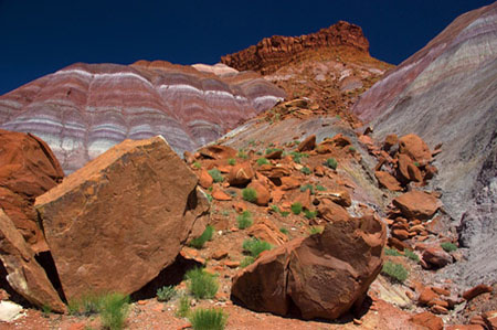 Boulders and Chinle formation